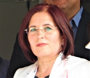 nilufer-deveci-chp-milletvekili-aday-aday-kadin-kollar-bsk.-2018.jpg